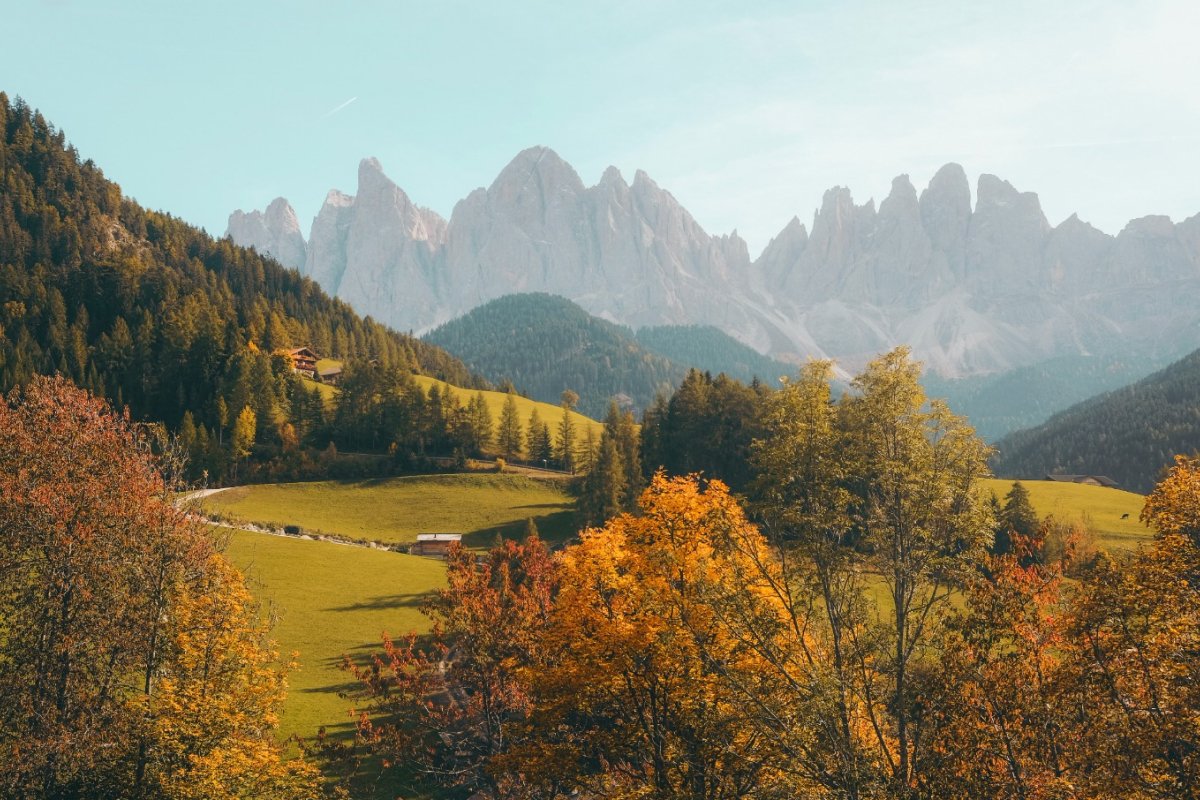 Natures 01