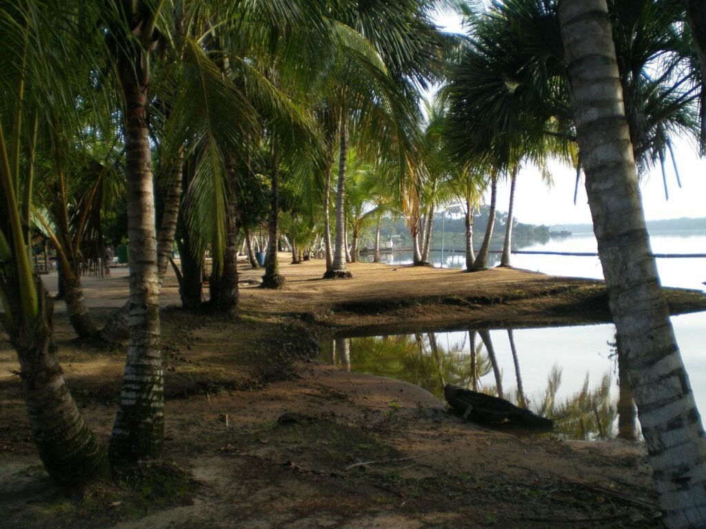overbridge river resort overbridge river resort
